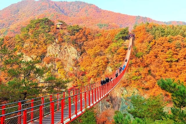 seoul-city-and-seasonal-hot-attractions-one-day-tour_1